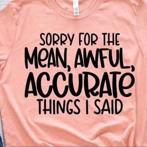 Sorry For The Mean Awful Accurate Things I Said